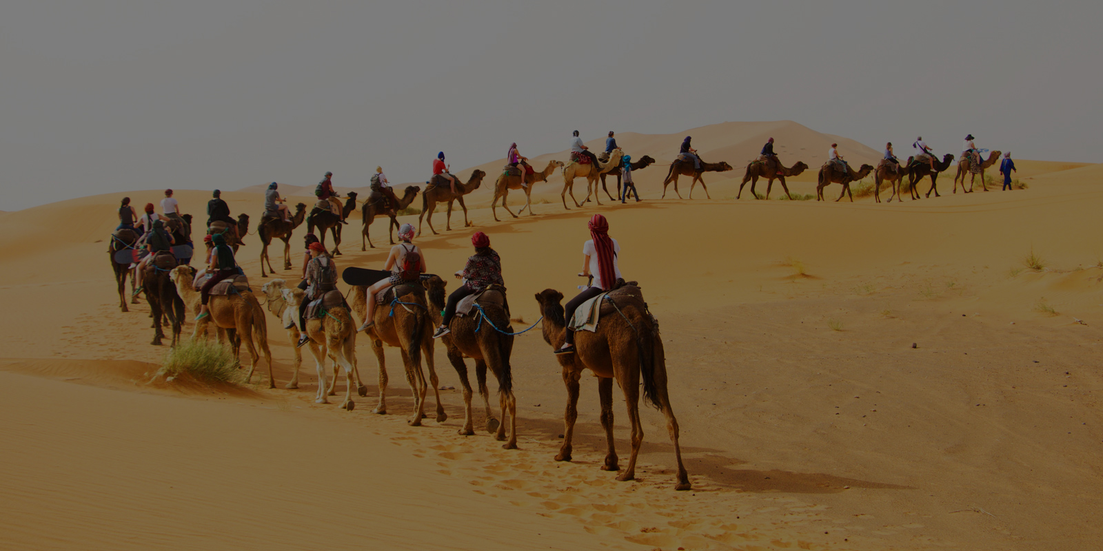 Camel-trek-in-merzouga-morocco