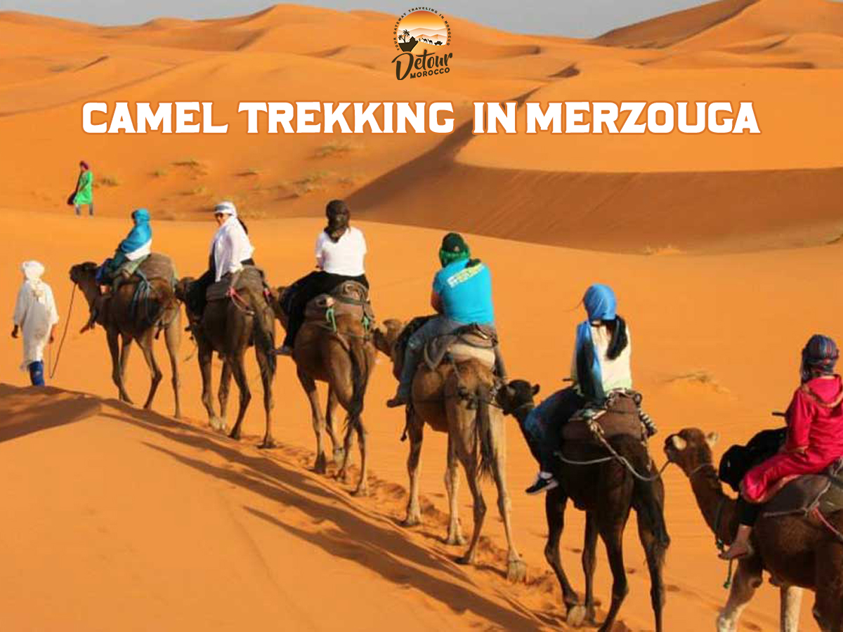 Camel trekking in Merzouga