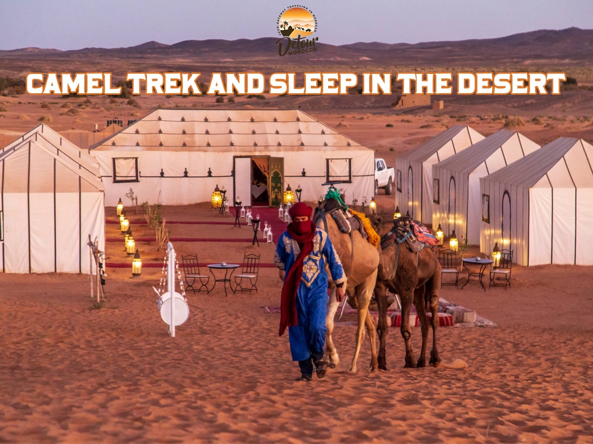 Camel man ridding caravan near nomad tents in the desert